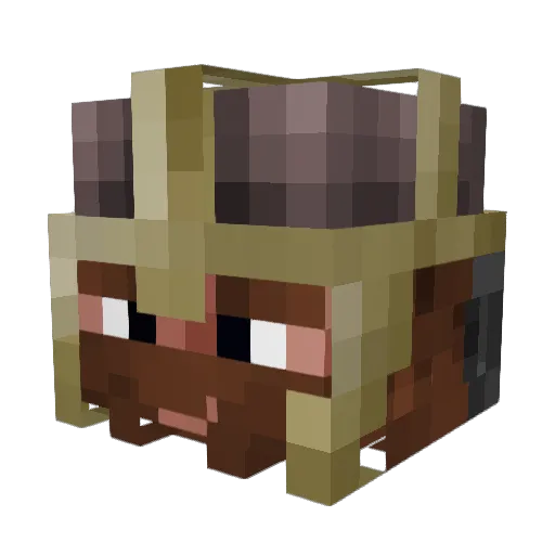 Klen_Ironfist Minecraft avatar head, 3D render