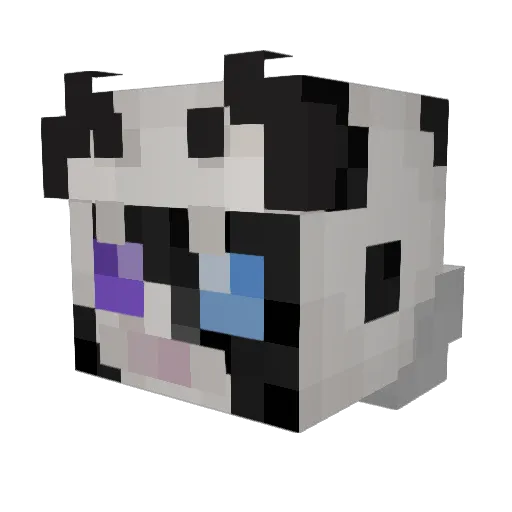KleoMeow Minecraft avatar head, 3D render
