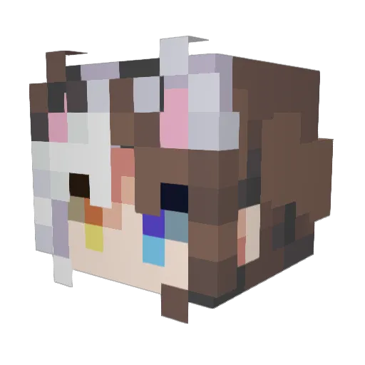 Klgm2018 Minecraft avatar head, 3D render