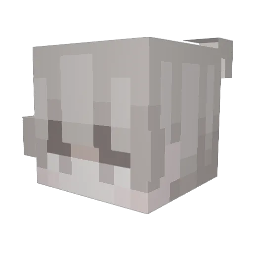 Klima_ok Minecraft avatar head, 3D render