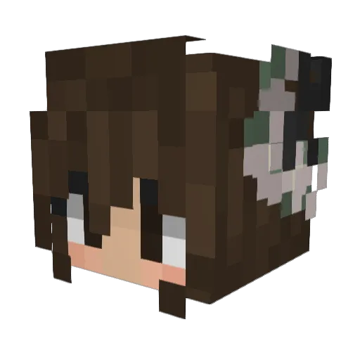 Klimbisupp Minecraft avatar head, 3D render
