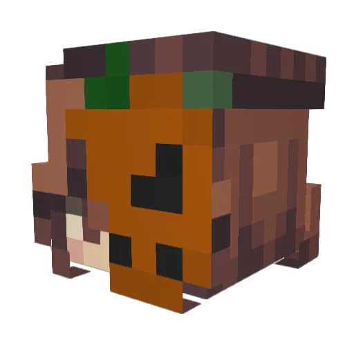 Kliper8888 Minecraft avatar head, 3D render
