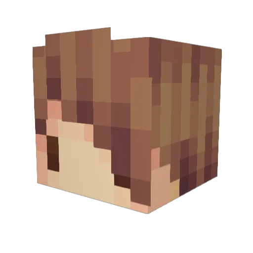 Klipper2002 Minecraft avatar head, 3D render