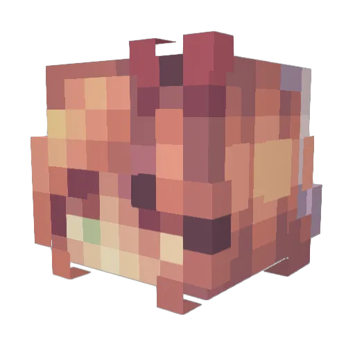 Kllasa Minecraft avatar head, 3D render