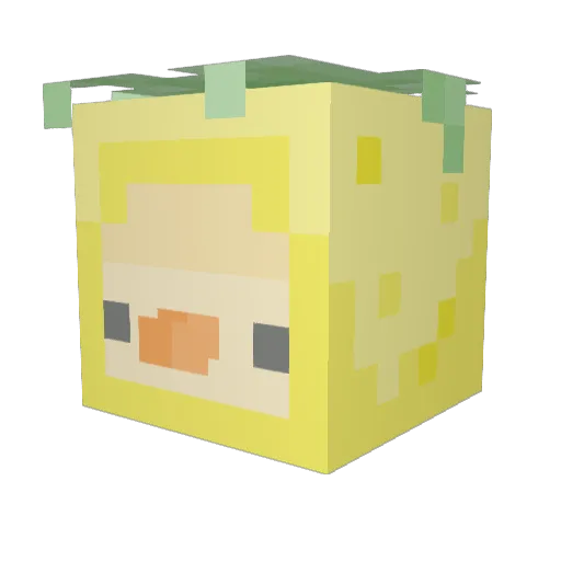 Klmlmkijko Minecraft avatar head, 3D render