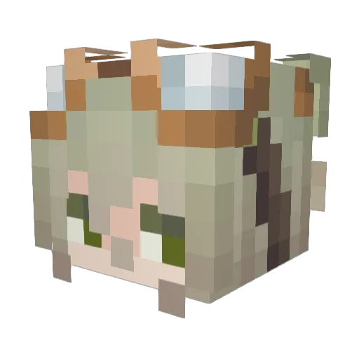 KloipGuy Minecraft avatar head, 3D render