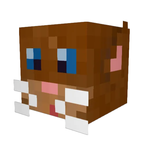 KlokTok Minecraft avatar head, 3D render
