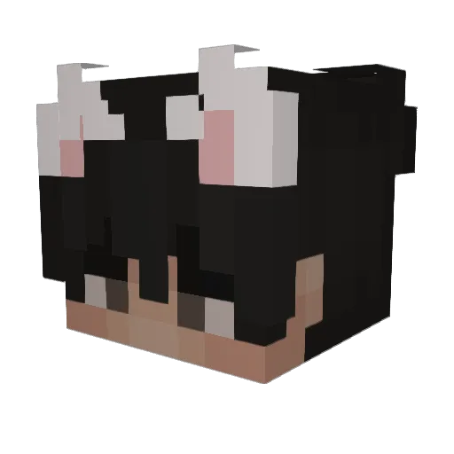 KloudEi__ Minecraft avatar head, 3D render