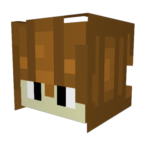 Kloudzzzz Minecraft avatar head, 3D render