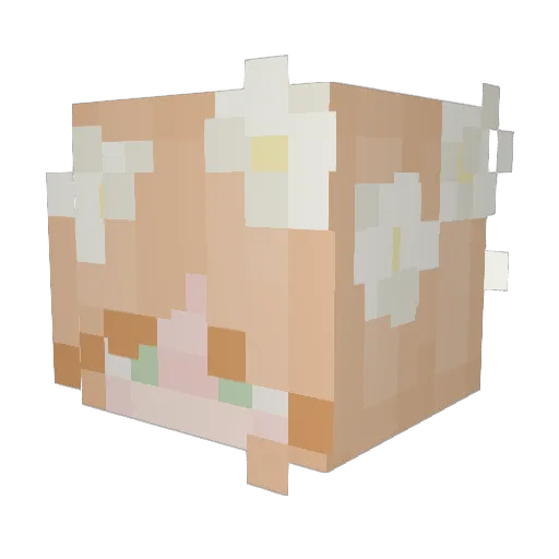 Klovershere Minecraft avatar head, 3D render