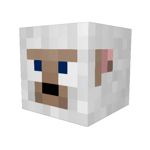 Klozerschrotter Minecraft avatar head, 3D render