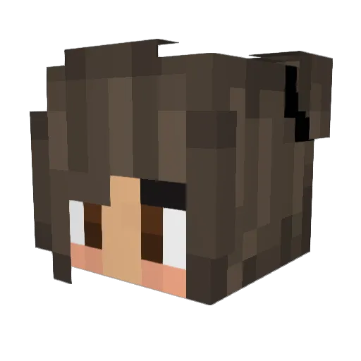 Klu9 Minecraft avatar head, 3D render