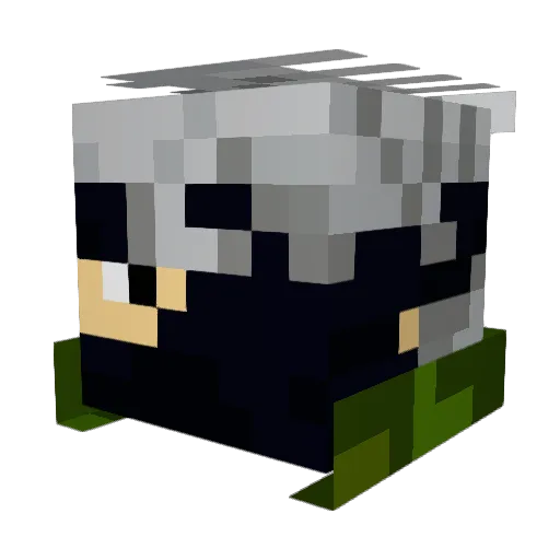 Klumpi1225 Minecraft avatar head, 3D render