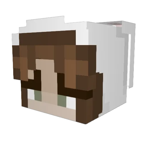 KlumsyKoala Minecraft avatar head, 3D render