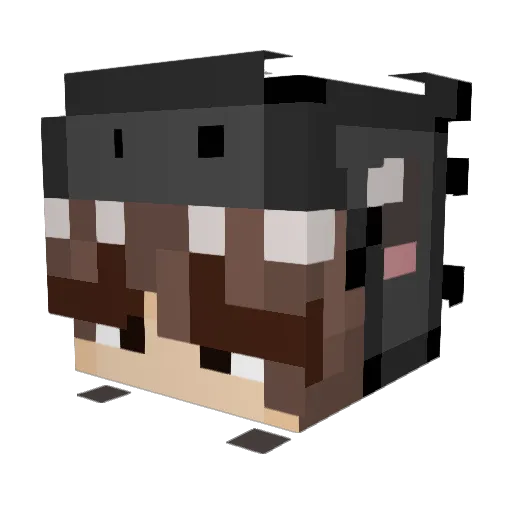 Kly0mi Minecraft avatar head, 3D render
