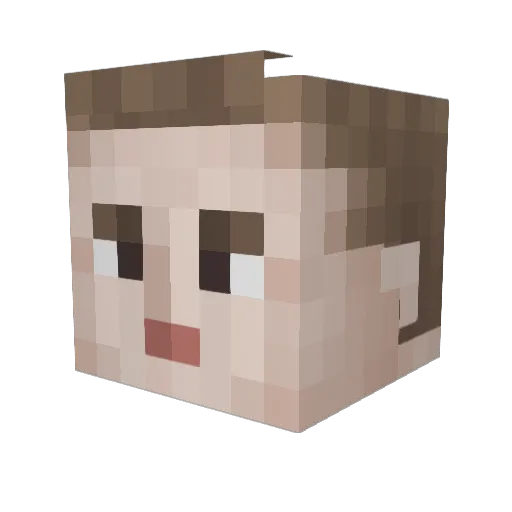 KmartManager Minecraft avatar head, 3D render