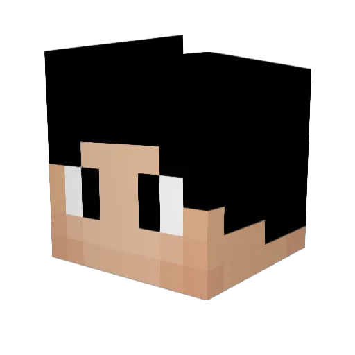 Kms80 Minecraft avatar head, 3D render