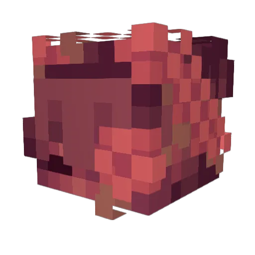 Kn0xEra22 Minecraft avatar head, 3D render