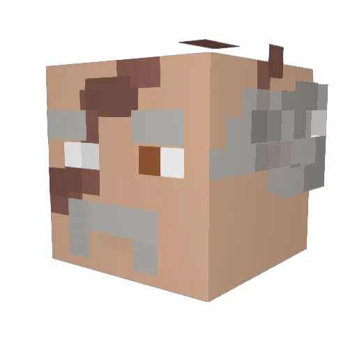 Kn1ghtMarez Minecraft avatar head, 3D render