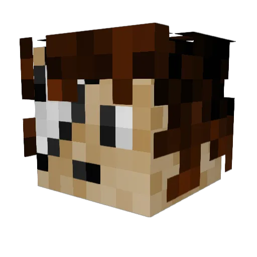 Knackitus Minecraft avatar head, 3D render