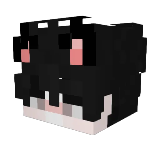 Knafu Minecraft avatar head, 3D render