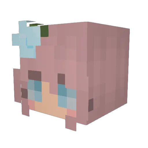 Knaikki Minecraft avatar head, 3D render