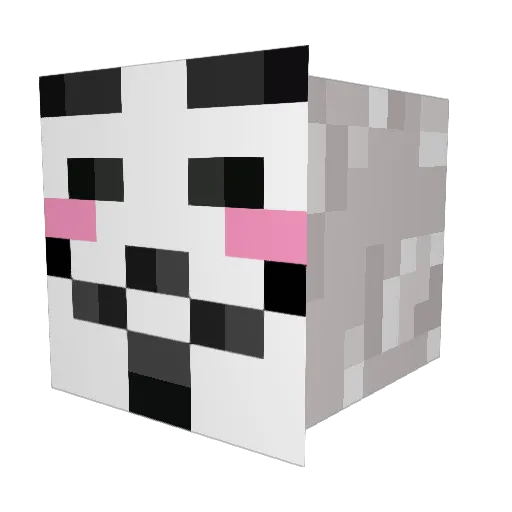 KnallHengst123 Minecraft avatar head, 3D render