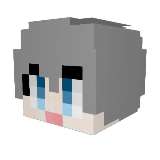 Knas2580 Minecraft avatar head, 3D render