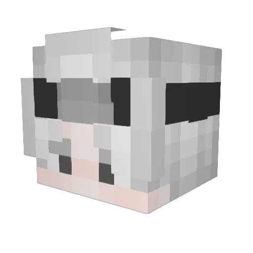 Knausebaer Minecraft avatar head, 3D render