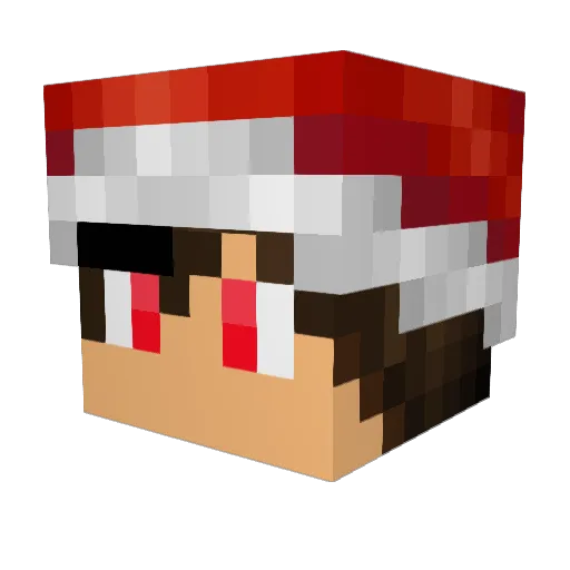 Knave2021 Minecraft avatar head, 3D render