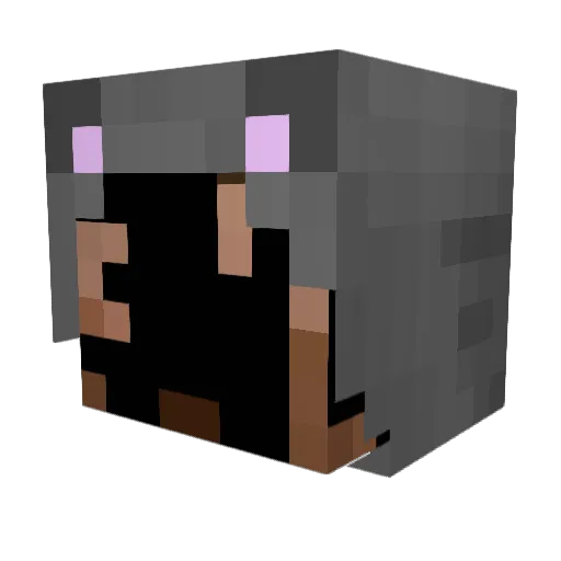 Knedlik2 Minecraft avatar head, 3D render