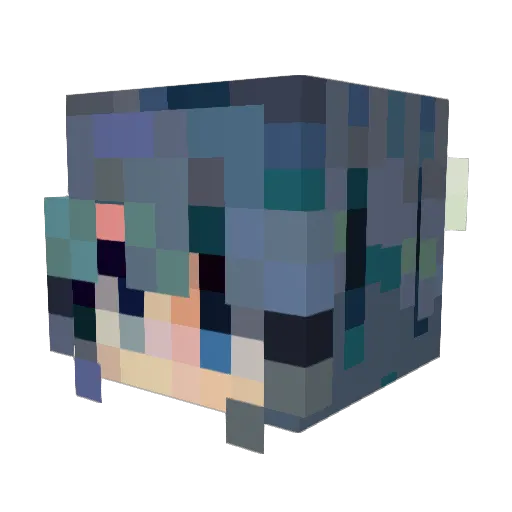 Knee_Coal25 Minecraft avatar head, 3D render