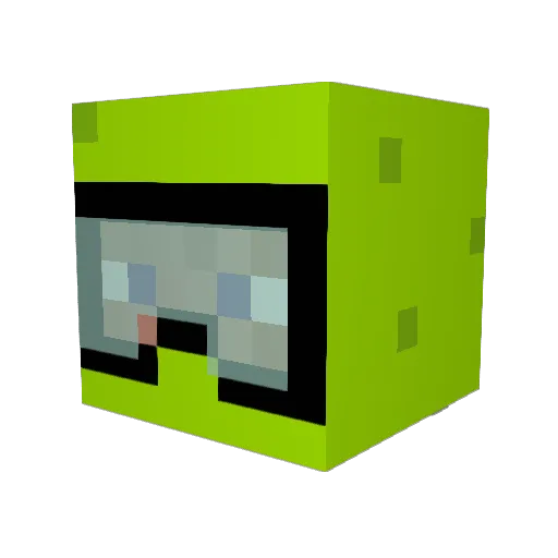 Kneecaps2971 Minecraft avatar head, 3D render