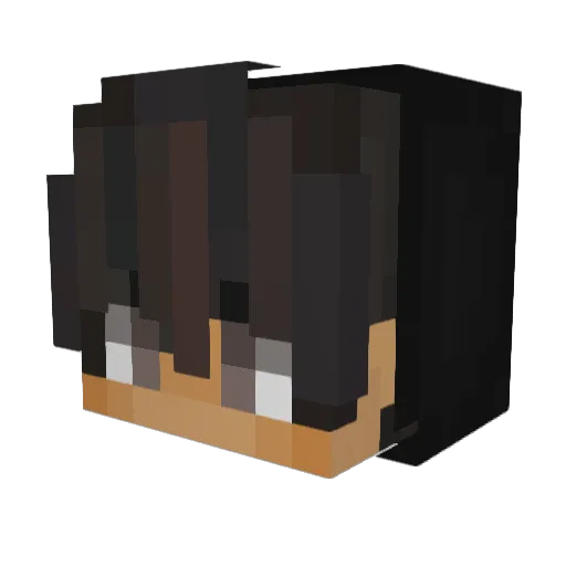 Kneticx Minecraft avatar head, 3D render