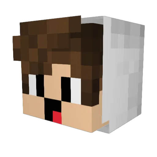 Knife9011 Minecraft avatar head, 3D render