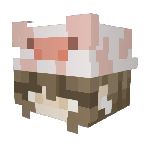 Knifuwu Minecraft avatar head, 3D render