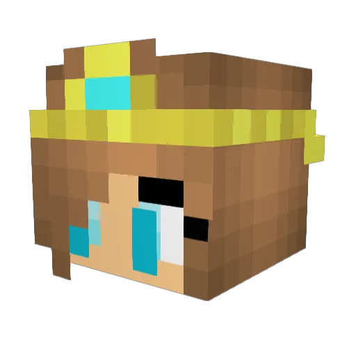 KnightSam003 Minecraft avatar head, 3D render