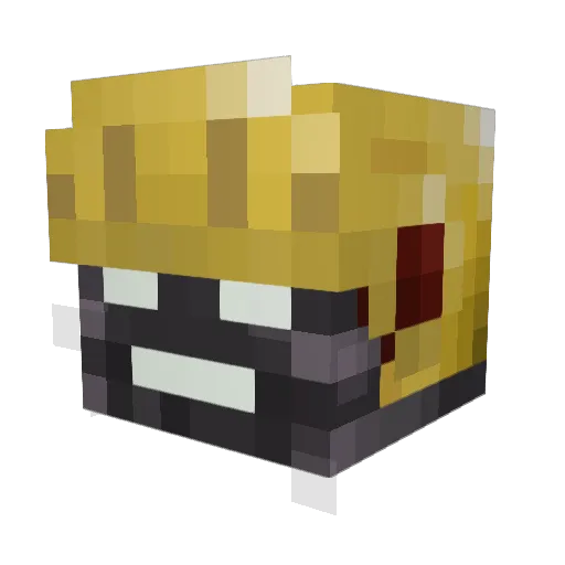 KnightSlash8310 Minecraft avatar head, 3D render