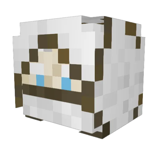KnightWarior007 Minecraft avatar head, 3D render