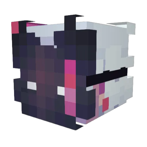 Knight_Fenris Minecraft avatar head, 3D render