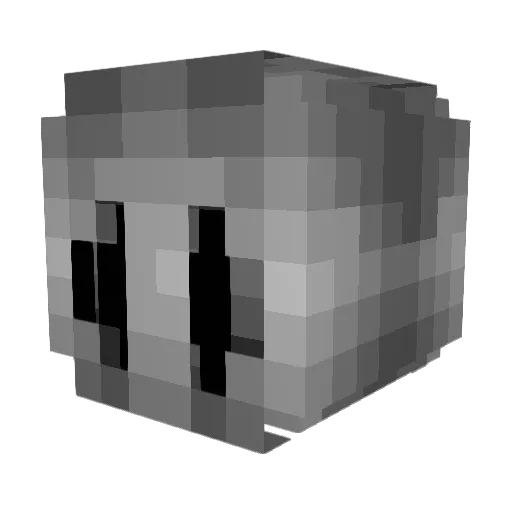 Knight_da_gamer Minecraft avatar head, 3D render