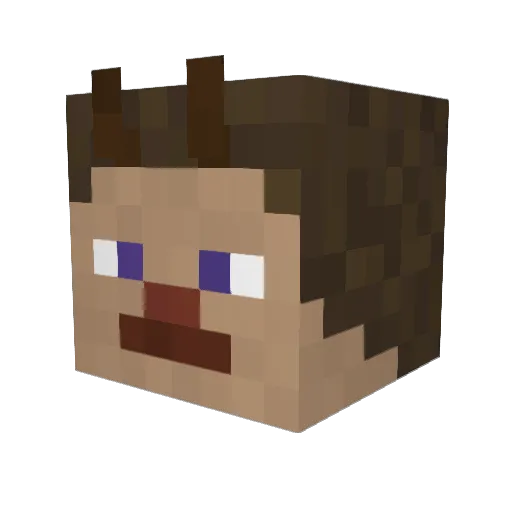 Knightchromancer Minecraft avatar head, 3D render