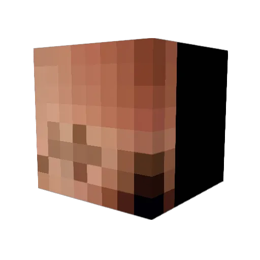 Knightcloud Minecraft avatar head, 3D render