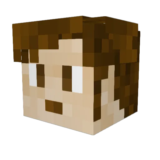 Knightfa1111 Minecraft avatar head, 3D render