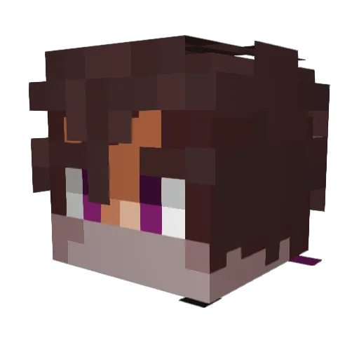 Knightlock73 Minecraft avatar head, 3D render