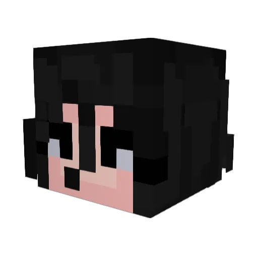 KnightlyFrog Minecraft avatar head, 3D render