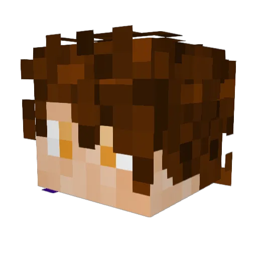 Knightrobuild Minecraft avatar head, 3D render