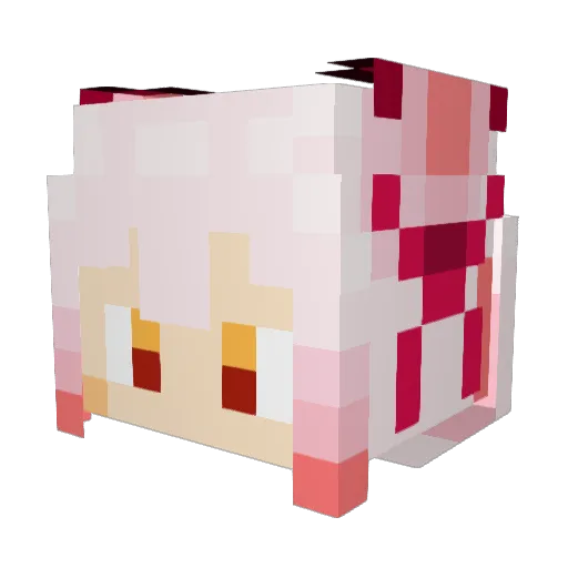Knighttaku Minecraft avatar head, 3D render