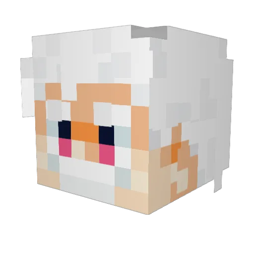 Knightwolf370 Minecraft avatar head, 3D render
