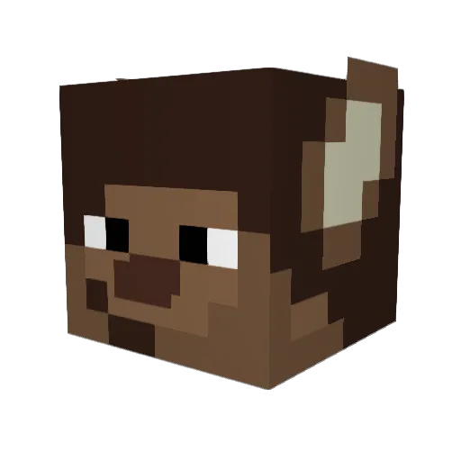 Knino30 Minecraft avatar head, 3D render